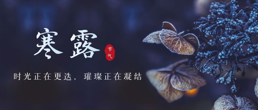 寒露 ▎時光更迭，璀璨正在凝結(jié)~
