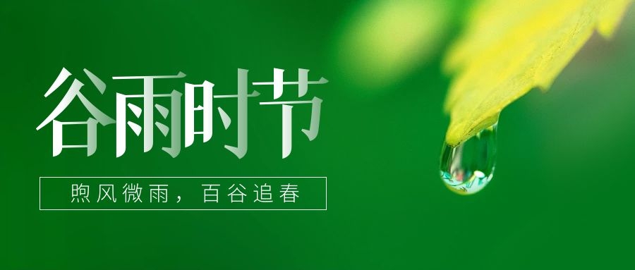 谷雨 ▎雨生百谷，鎖住一抹春色