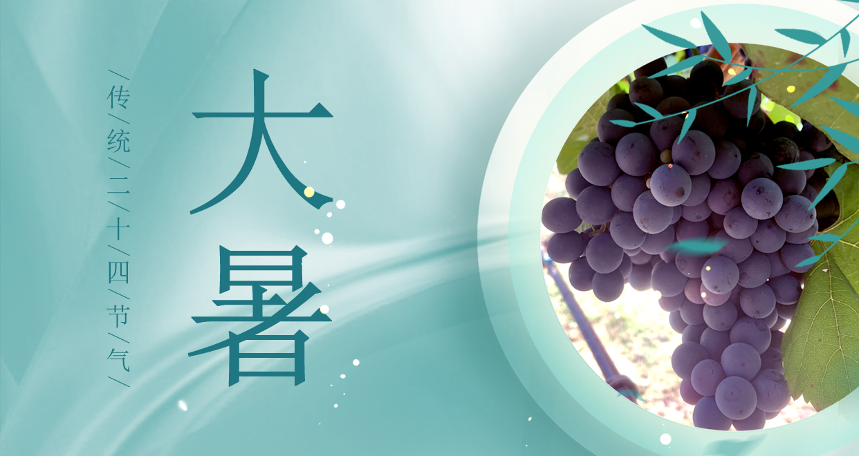 大暑 ▎時夏三伏盛，葡萄綴滿天