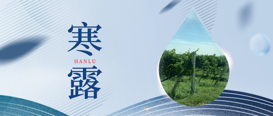寒露丨夜露凝寒，萬物皆秋