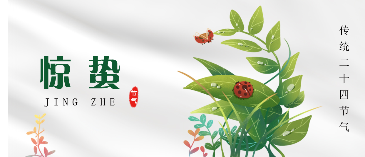 驚蟄 ▎雷鳴春醒，萬物生長